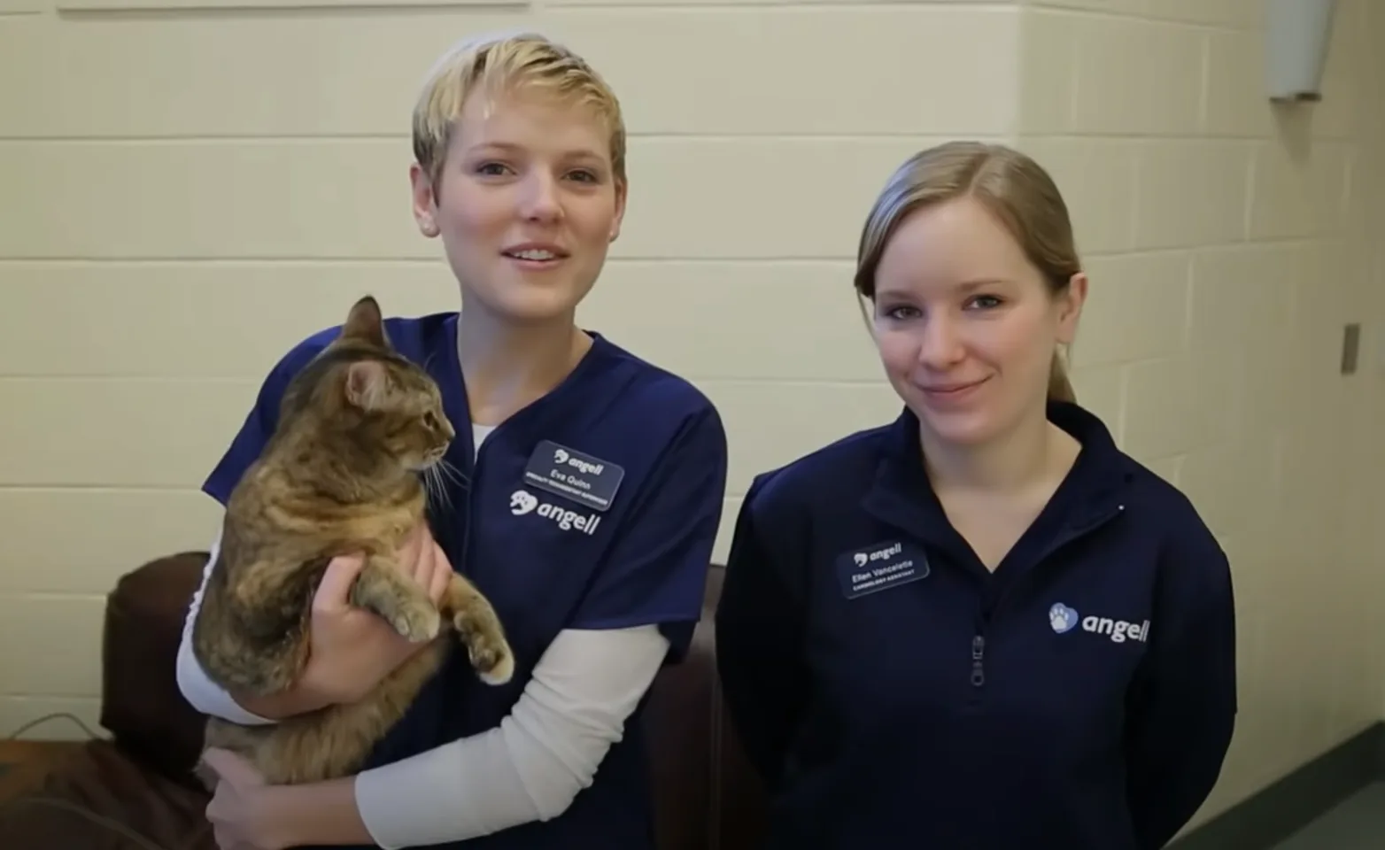 Two veterinary staff with a cat
